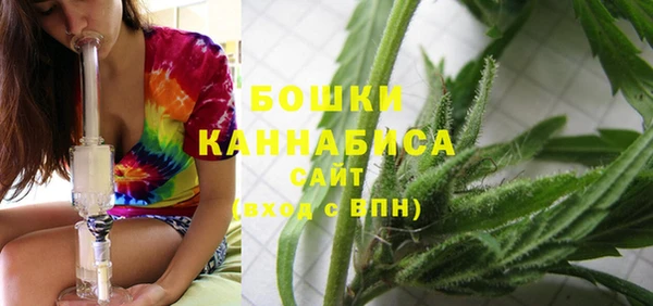 гашик Балахна