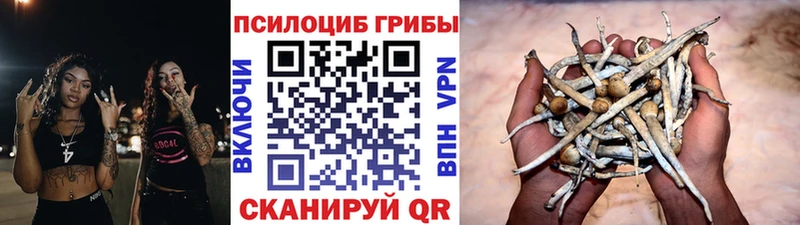 Галлюциногенные грибы мицелий  Дорогобуж 